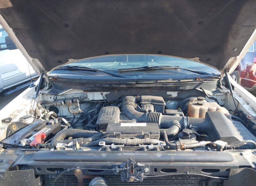 Photo 10 of 2009 Ford F-150 FX4/KING RANCH/LARIAT/PLATINUM/XL/XLT (VIN 1FTPW14V99FB18454)