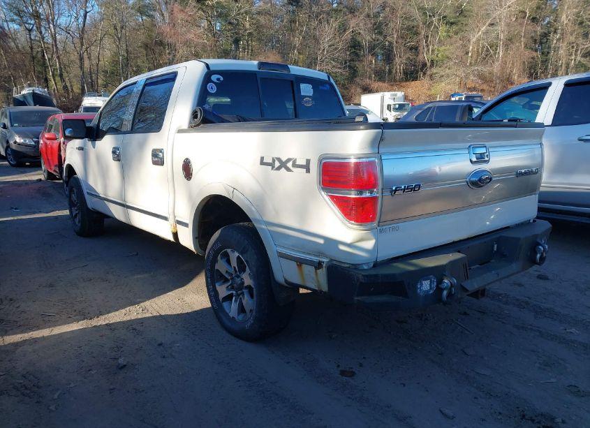 Photo 3 of 2009 Ford F-150 FX4/KING RANCH/LARIAT/PLATINUM/XL/XLT (VIN 1FTPW14V99FB18454)