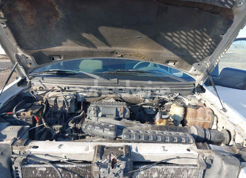 Photo 10 of 2008 Ford F-150 60TH ANNIVERSARY/FX4/KING RANCH/LARIAT/XLT (VIN 1FTPW14VX8FB77270)