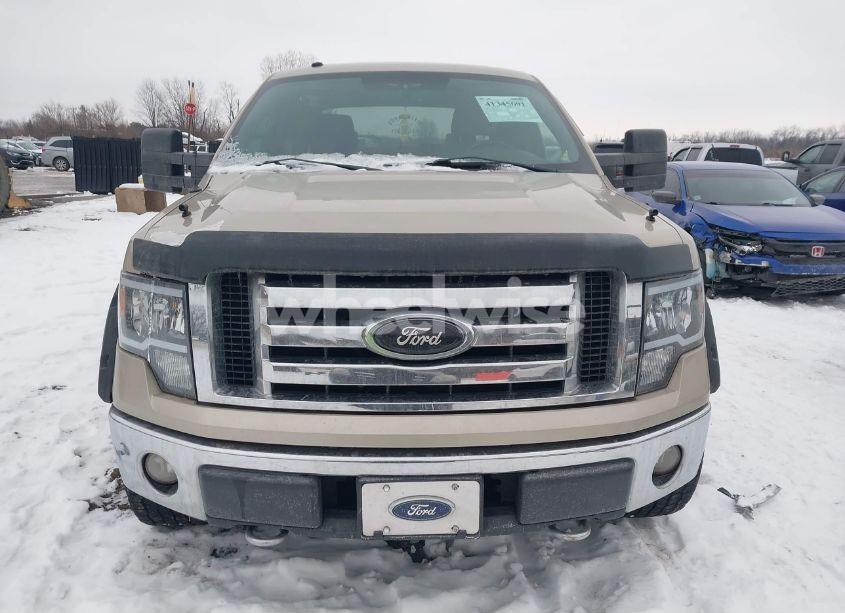 Photo 12 of 2009 Ford F-150 XLT (VIN 1FTPW14VX9FA21926)
