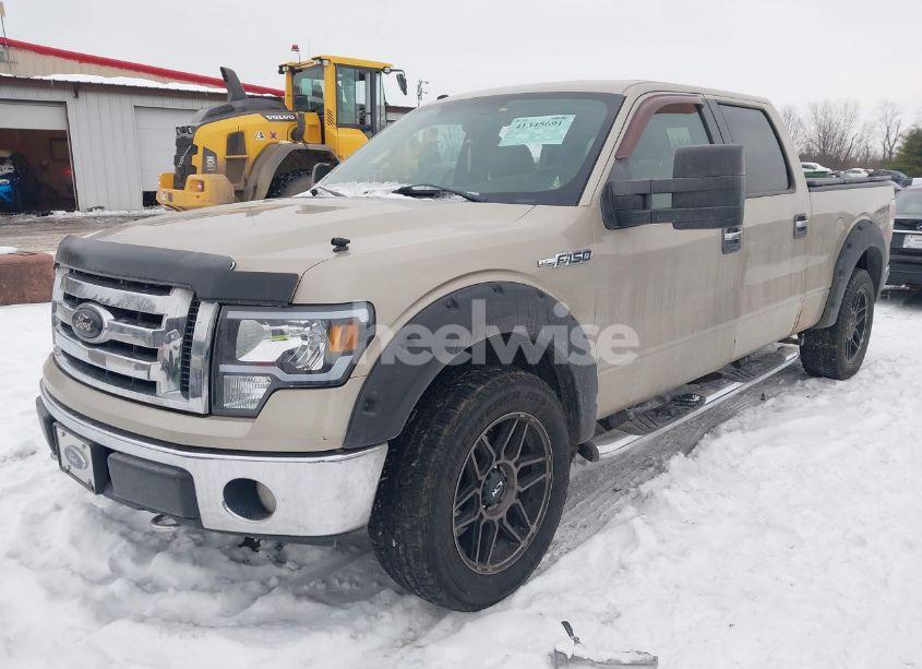Photo 2 of 2009 Ford F-150 XLT (VIN 1FTPW14VX9FA21926)
