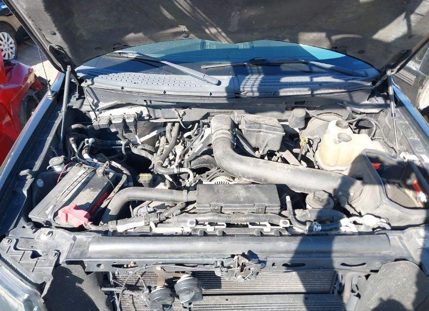 Photo 10 of 2009 Ford F-150 FX4/KING RANCH/LARIAT/PLATINUM/XL/XLT (VIN 1FTPW14VX9FA76182)