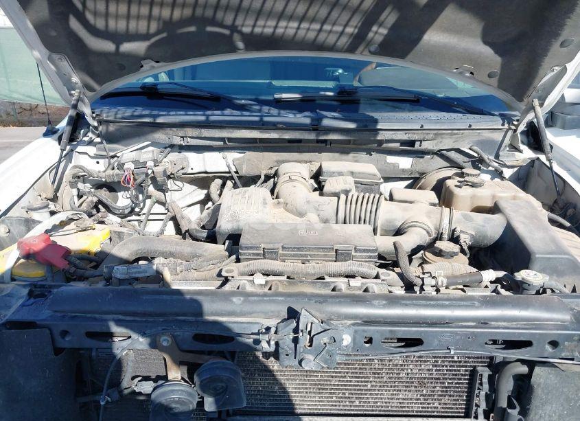 Photo 10 of 2009 Ford F-150 PLATINUM (VIN 1FTPW14VX9FB32105)