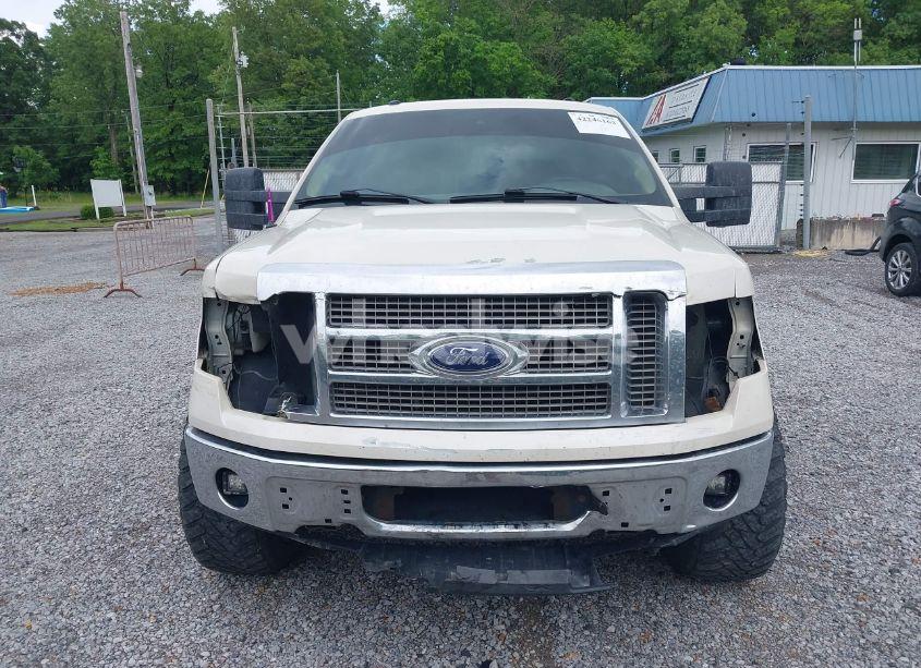 Photo 13 of 2009 Ford F-150 FX4/KING RANCH/LARIAT/PLATINUM/XL/XLT (VIN 1FTPW14VX9KB41670)