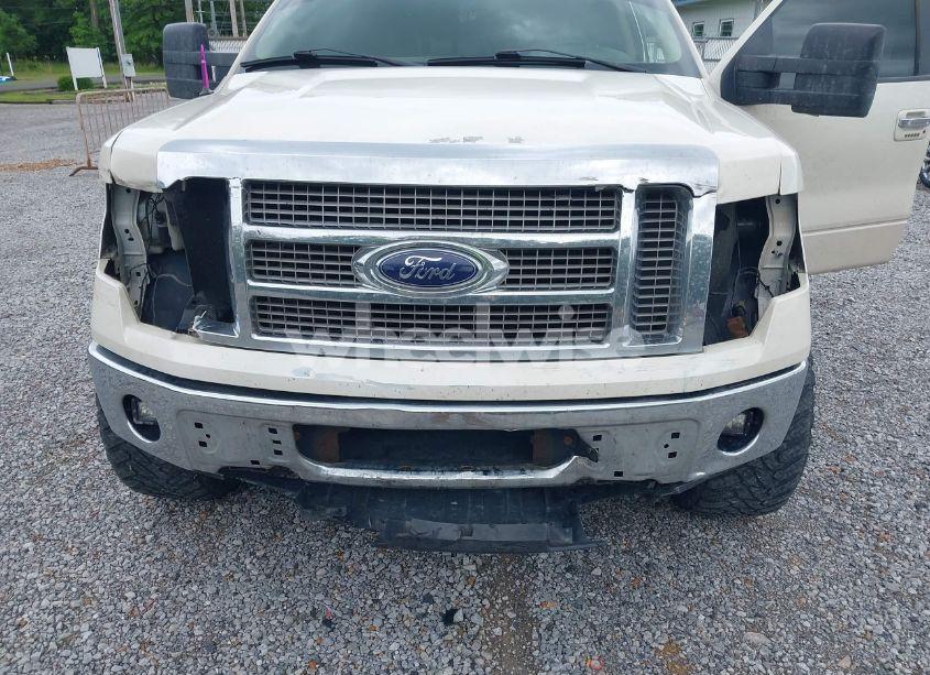 Photo 6 of 2009 Ford F-150 FX4/KING RANCH/LARIAT/PLATINUM/XL/XLT (VIN 1FTPW14VX9KB41670)