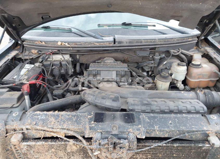 Photo 10 of 2008 Ford F-150 XLT (VIN 1FTPX02568KE39982)