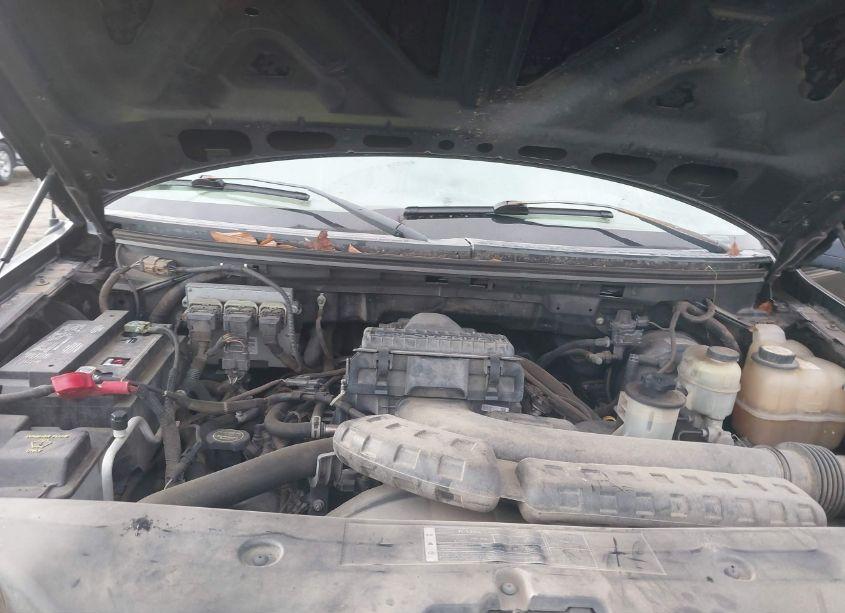 Photo 10 of 2006 Ford F-150 LARIAT/XL/XLT (VIN 1FTPX12536NA22174)