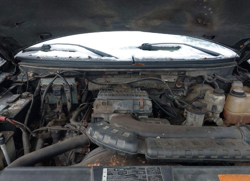 Photo 10 of 2008 Ford F-150 FX4/LARIAT/XL/XLT (VIN 1FTPX14538FB38694)