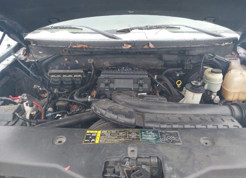 Photo 10 of 2004 Ford F-150 FX4/LARIAT/XL/XLT (VIN 1FTPX14554NC67181)