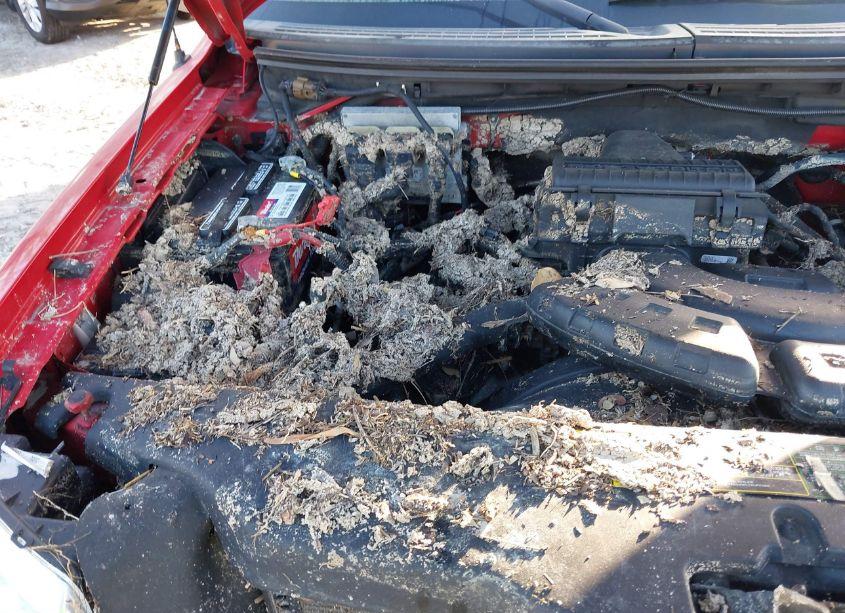 Photo 6 of 2004 Ford F-150 FX4/LARIAT/XL/XLT (VIN 1FTPX14574NA75776)