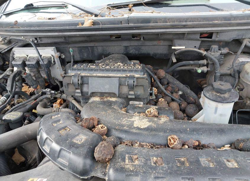 Photo 10 of 2005 Ford F-150 FX4/LARIAT/XL/XLT (VIN 1FTPX14595FB69623)