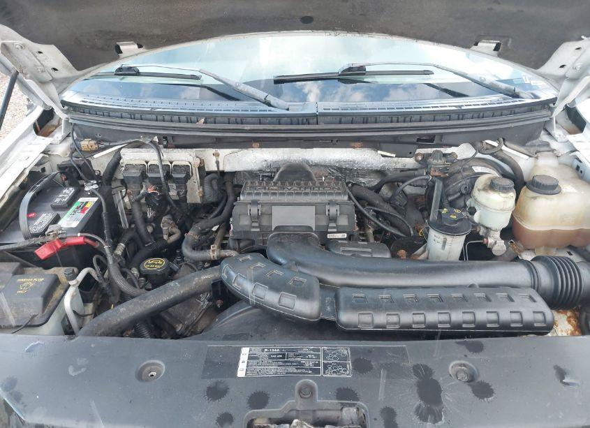 Photo 10 of 2006 Ford F-150 FX4/LARIAT/XL/XLT (VIN 1FTPX14596FA76246)