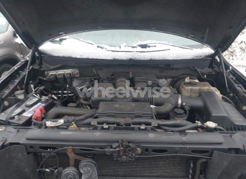 Photo 10 of 2009 Ford F-150 FX4/LARIAT/XL/XLT (VIN 1FTPX14V09FA93540)