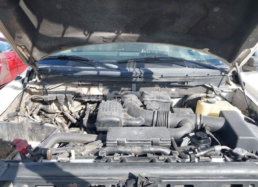 Photo 10 of 2009 Ford F-150 (VIN 1FTPX14V09FA97555)