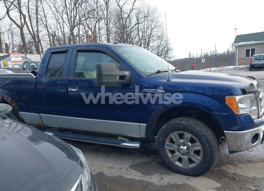 Photo 14 of 2009 Ford F-150 FX4/LARIAT/XL/XLT (VIN 1FTPX14V09FB22129)