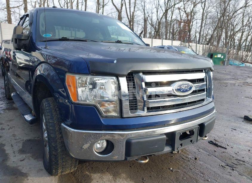 Photo 18 of 2009 Ford F-150 FX4/LARIAT/XL/XLT (VIN 1FTPX14V09FB22129)