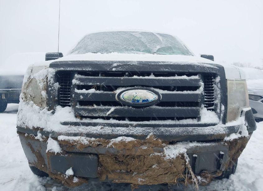 Photo 12 of 2009 Ford F-150 FX4/LARIAT/XL/XLT (VIN 1FTPX14V19FA09774)