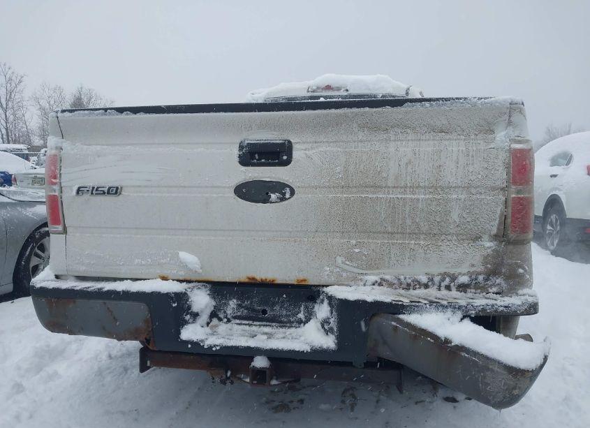 Photo 16 of 2009 Ford F-150 FX4/LARIAT/XL/XLT (VIN 1FTPX14V19FA09774)