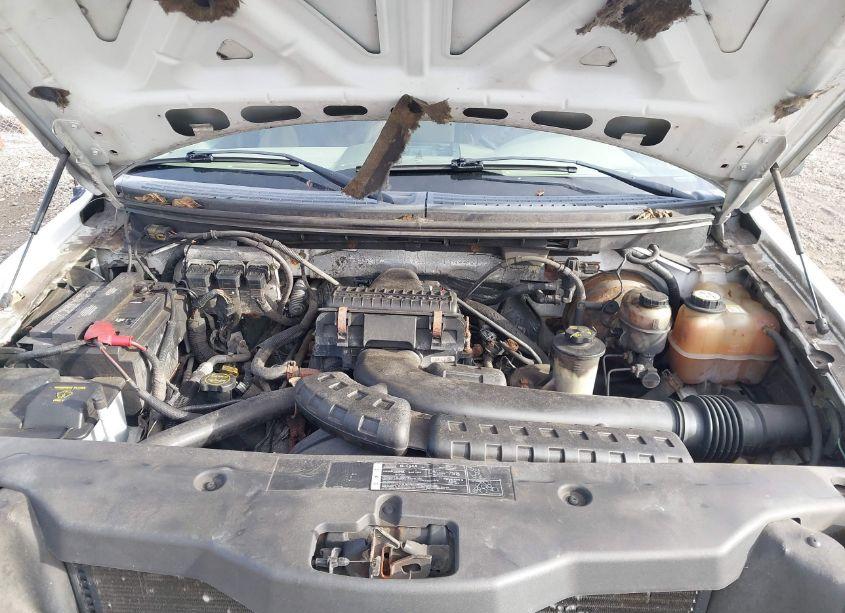 Photo 10 of 2007 Ford F-150 FX4/LARIAT/XL/XLT (VIN 1FTPX14V67NA01107)