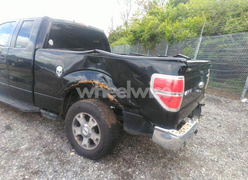 Photo 6 of 2009 Ford F-150 FX4/LARIAT/XL/XLT (VIN 1FTPX14V69FA88553)