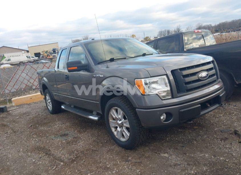 2009 Ford F-150 FX4/LARIAT/XL/XLT (VIN 1FTPX14V69FB45706) main photo