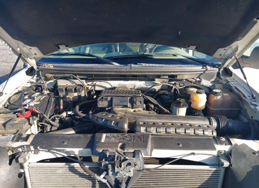 Photo 10 of 2008 Ford F-150 FX4/LARIAT/XL/XLT (VIN 1FTPX14V78FA34130)