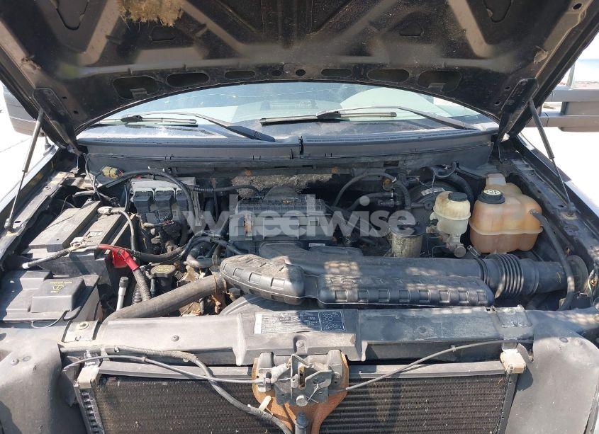 Photo 10 of 2008 Ford F-150 FX4/LARIAT/XL/XLT (VIN 1FTPX14V78KD59142)