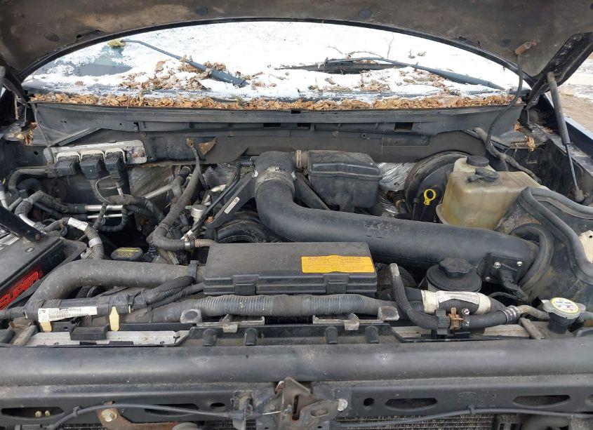 Photo 10 of 2009 Ford F-150 FX4 (VIN 1FTPX14V79KB13905)