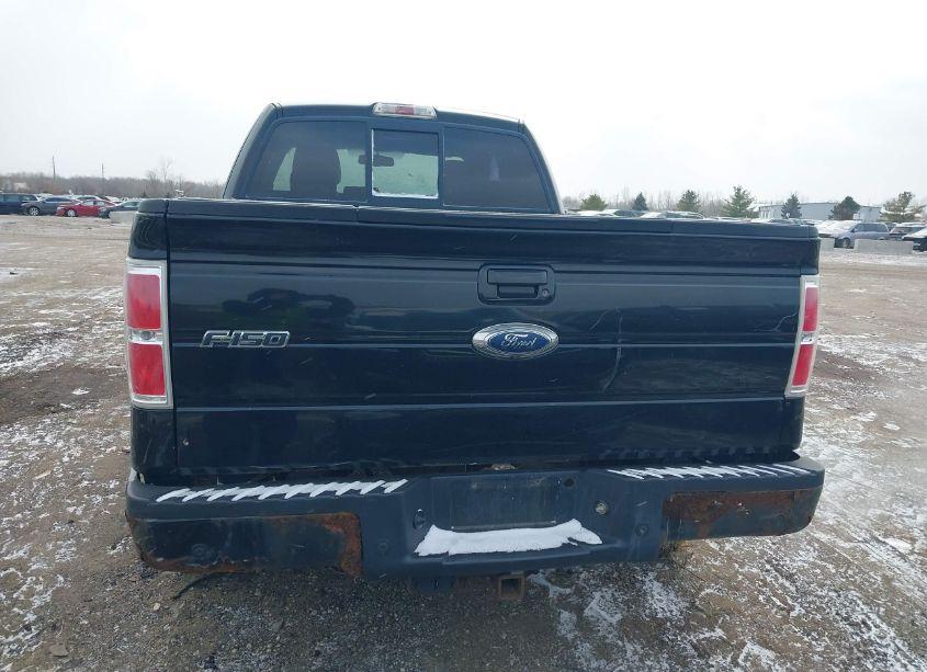 Photo 16 of 2009 Ford F-150 FX4 (VIN 1FTPX14V79KB13905)