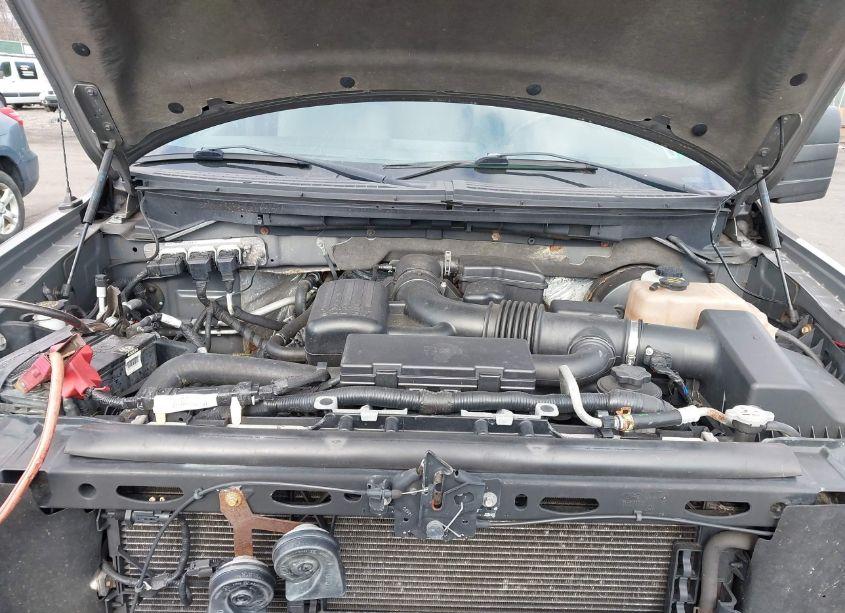 Photo 10 of 2009 Ford F-150 FX4/LARIAT/XL/XLT (VIN 1FTPX14V79KC54828)