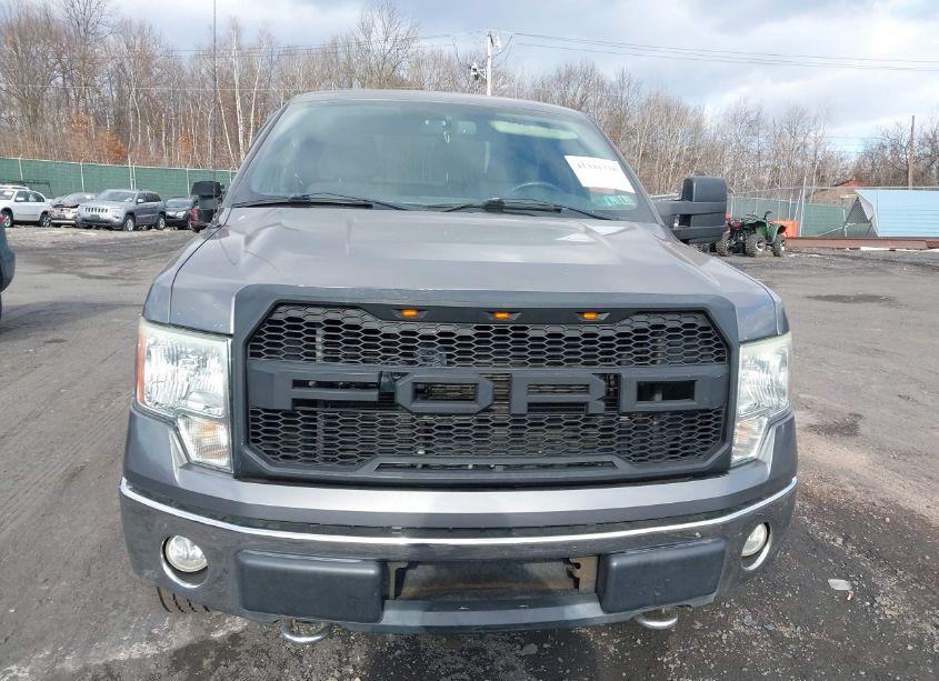 Photo 12 of 2009 Ford F-150 FX4/LARIAT/XL/XLT (VIN 1FTPX14V79KC54828)