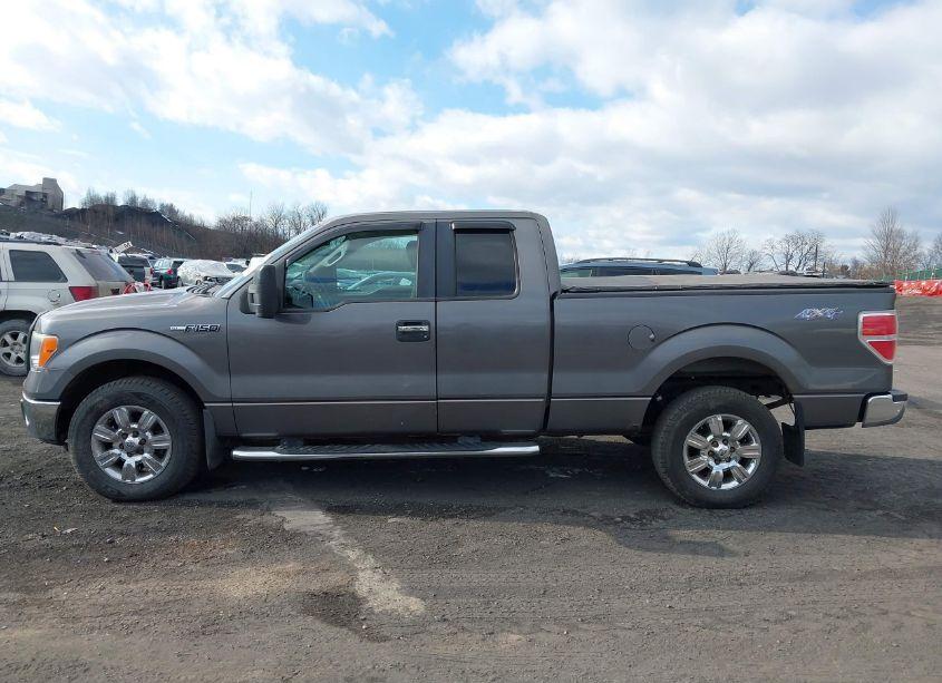 Photo 14 of 2009 Ford F-150 FX4/LARIAT/XL/XLT (VIN 1FTPX14V79KC54828)