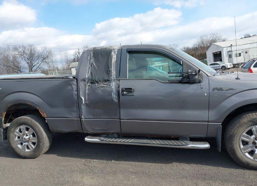 Photo 6 of 2009 Ford F-150 FX4/LARIAT/XL/XLT (VIN 1FTPX14V79KC54828)
