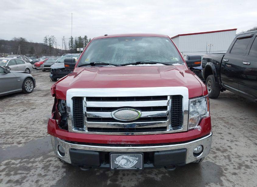 Photo 12 of 2009 Ford F-150 XLT (VIN 1FTPX14V99FA91740)