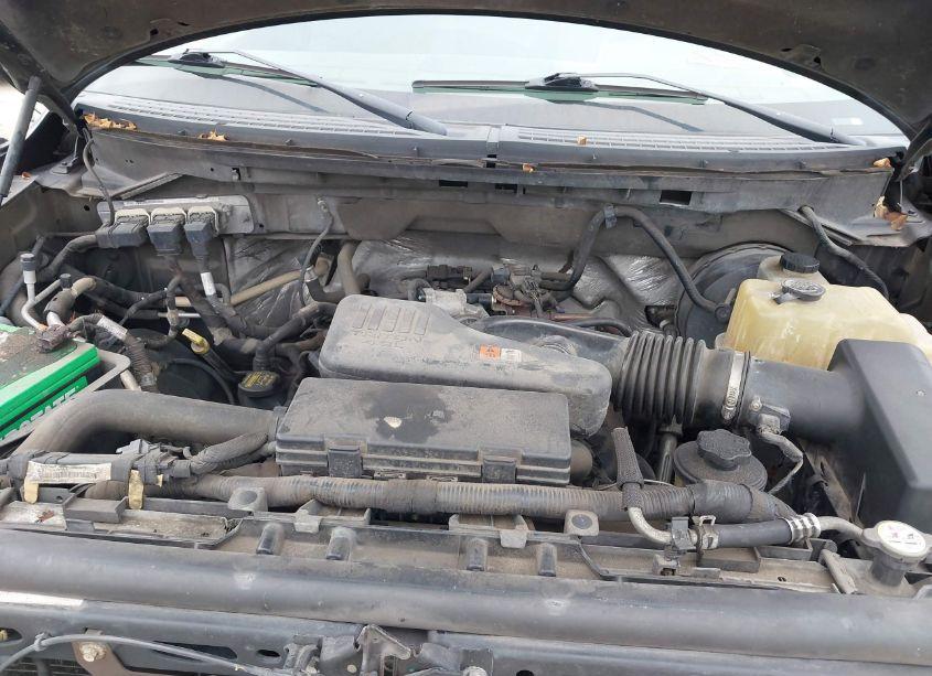 Photo 10 of 2009 Ford F-150 STX/XLT (VIN 1FTRF02W59KC76845)