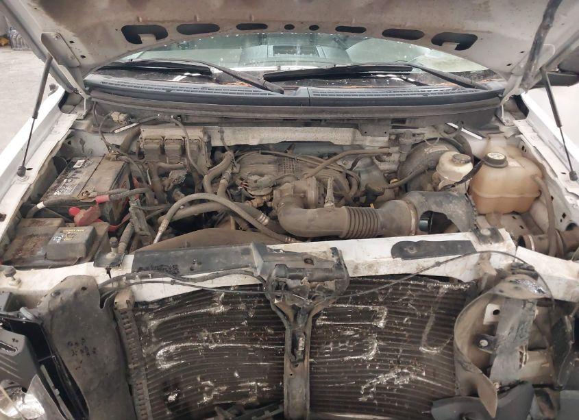 Photo 10 of 2008 Ford F-150 STX/XL/XLT (VIN 1FTRF12258KD34776)