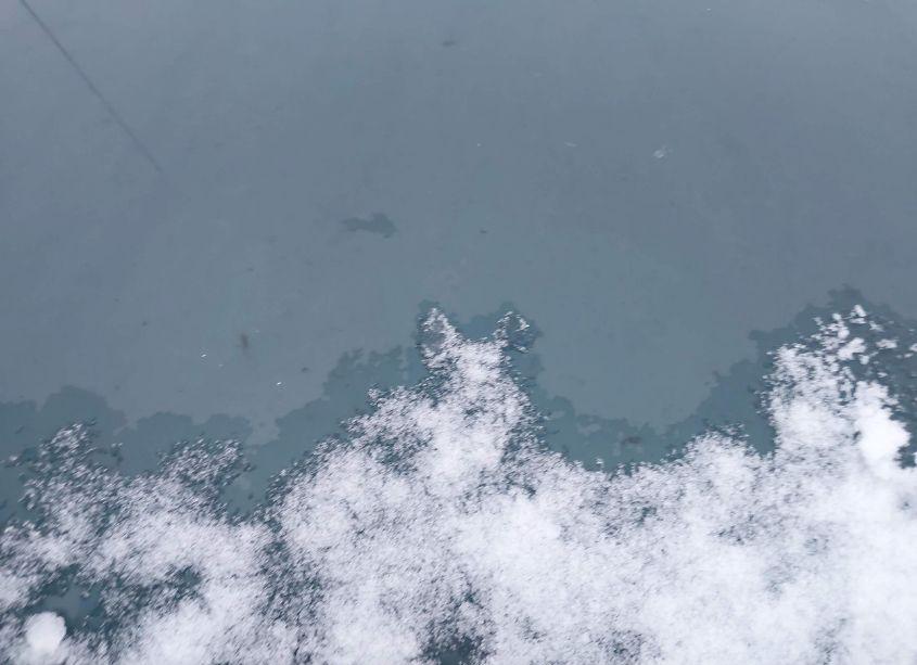 Photo 10 of 2007 Ford F-150 (VIN 1FTRF12267KD19668)