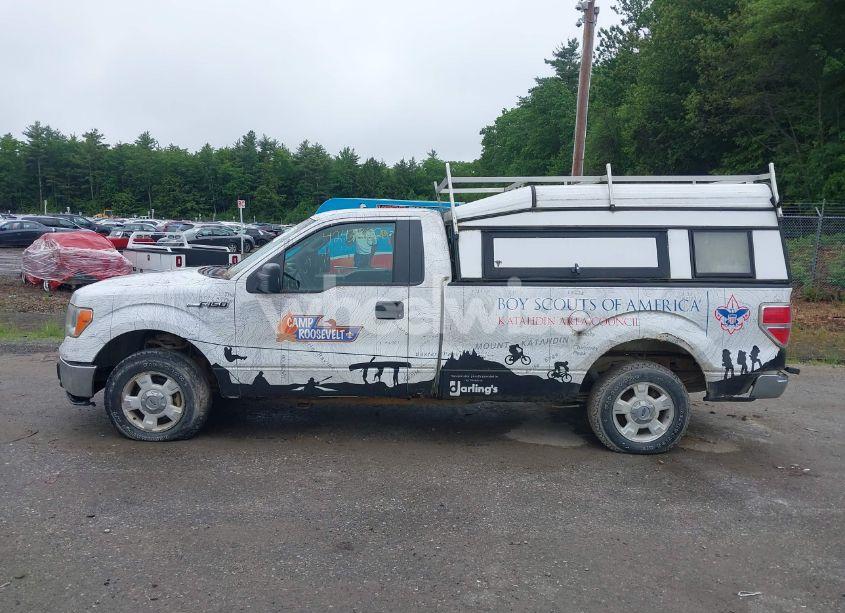 Photo 12 of 2009 Ford F-150 XL/XLT (VIN 1FTRF12899KB32240)