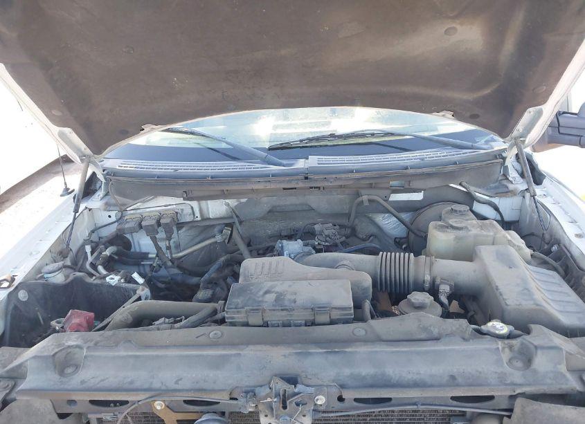 Photo 10 of 2009 Ford F-150 STX/XL/XLT (VIN 1FTRF12W09KA94668)