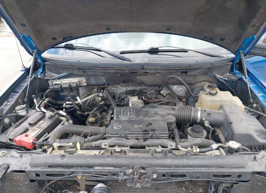 Photo 10 of 2009 Ford F-150 STX/XL/XLT (VIN 1FTRF12W19KB43604)