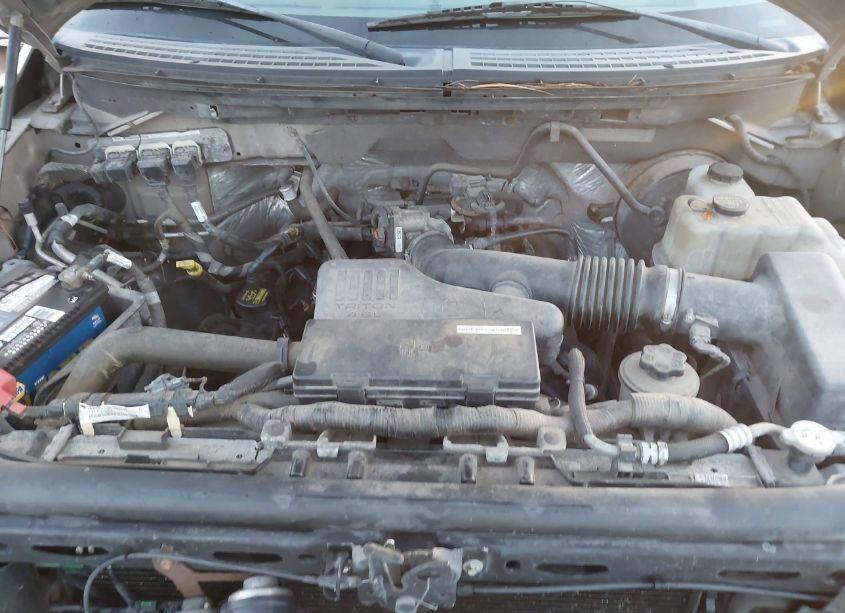 Photo 10 of 2009 Ford F-150 XL (VIN 1FTRF12W29KB47838)