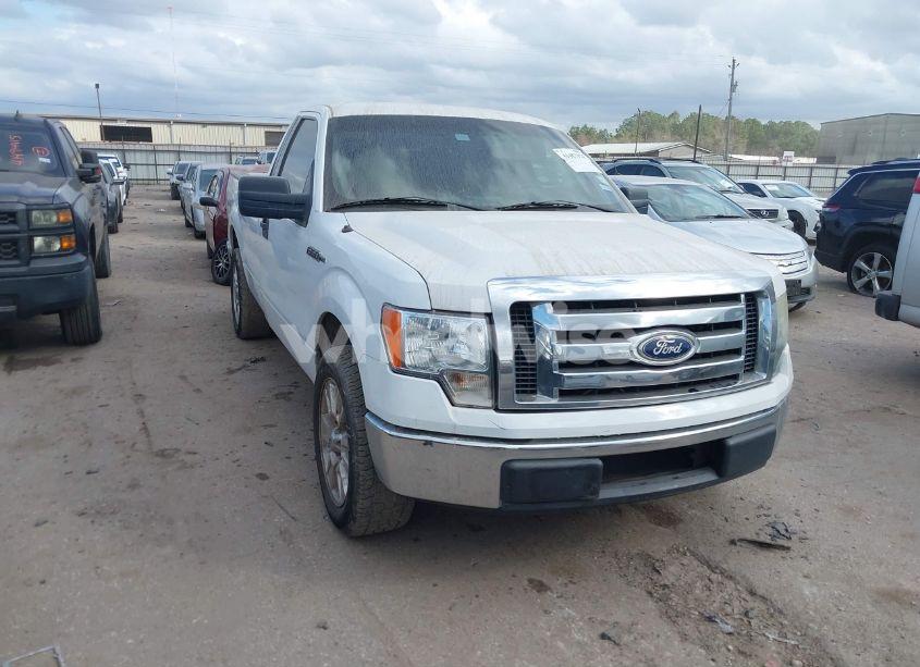 2009 Ford F-150 STX/XL/XLT (VIN 1FTRF12W49KB56959) main photo