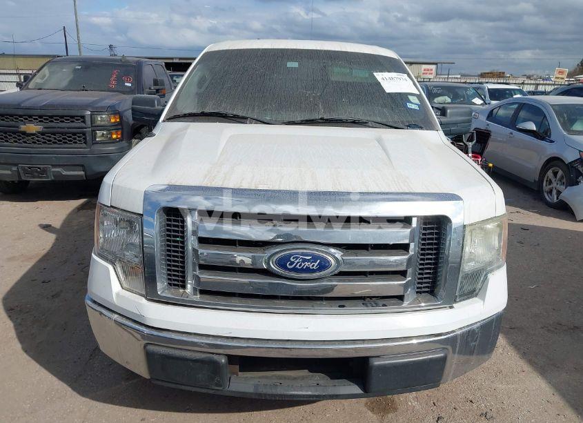 Photo 6 of 2009 Ford F-150 STX/XL/XLT (VIN 1FTRF12W49KB56959)