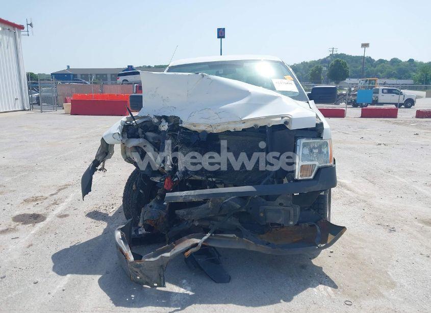 Photo 12 of 2009 Ford F-150 STX/XL/XLT (VIN 1FTRF12W69KC07426)