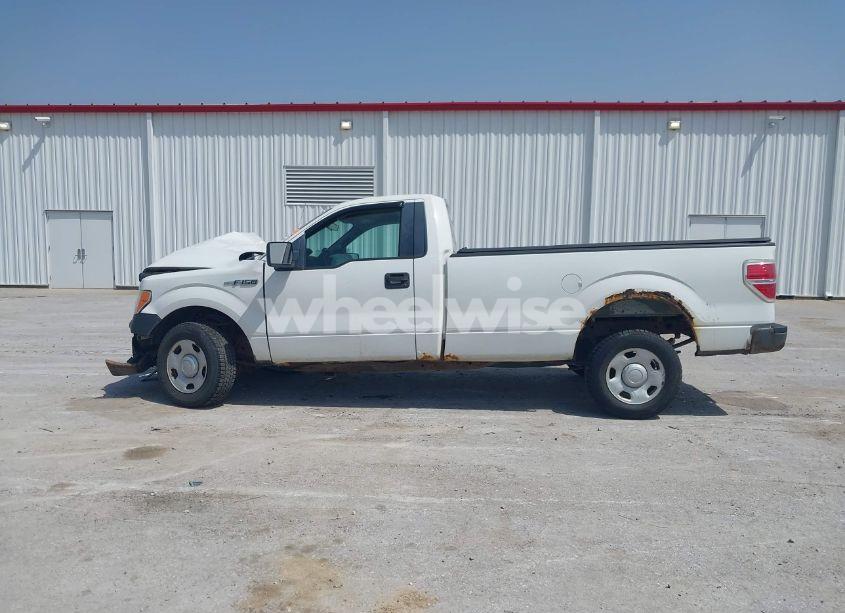 Photo 14 of 2009 Ford F-150 STX/XL/XLT (VIN 1FTRF12W69KC07426)