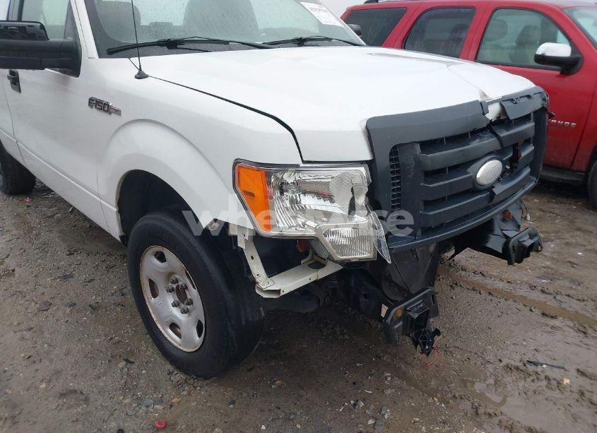 Photo 19 of 2009 Ford F-150 STX/XL/XLT (VIN 1FTRF12W99KB34679)