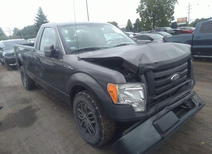 2009 Ford F-150 STX/XL/XLT (VIN 1FTRF12W99KB36741) main photo