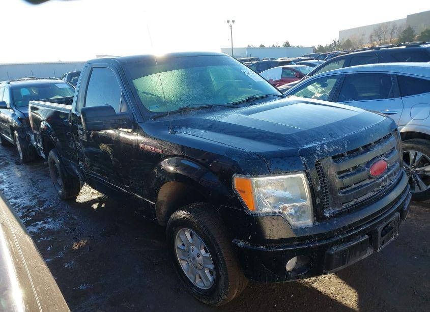 2009 Ford F-150 STX/XL/XLT (VIN 1FTRF12WX9KB06552) main photo