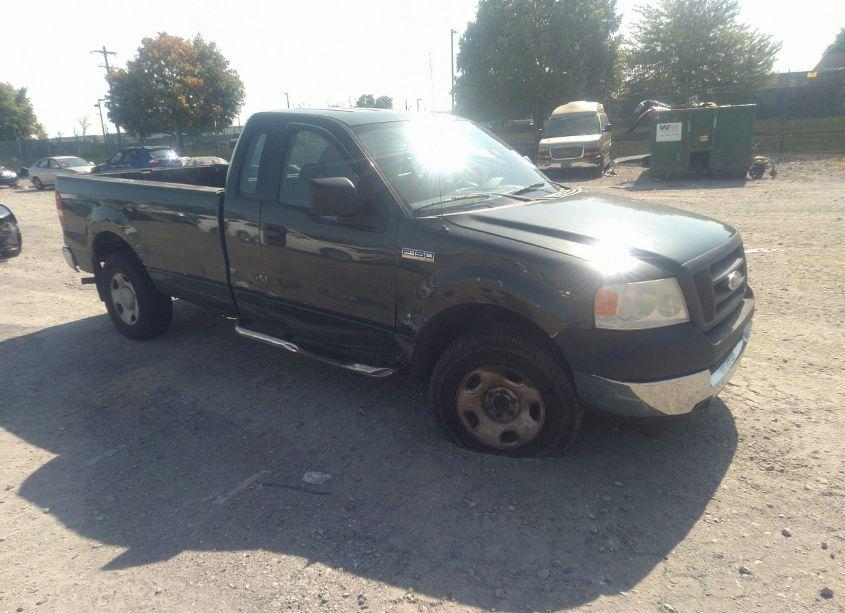 2005 Ford F-150 STX/XL/XLT (VIN 1FTRF14W65NB72554) main photo