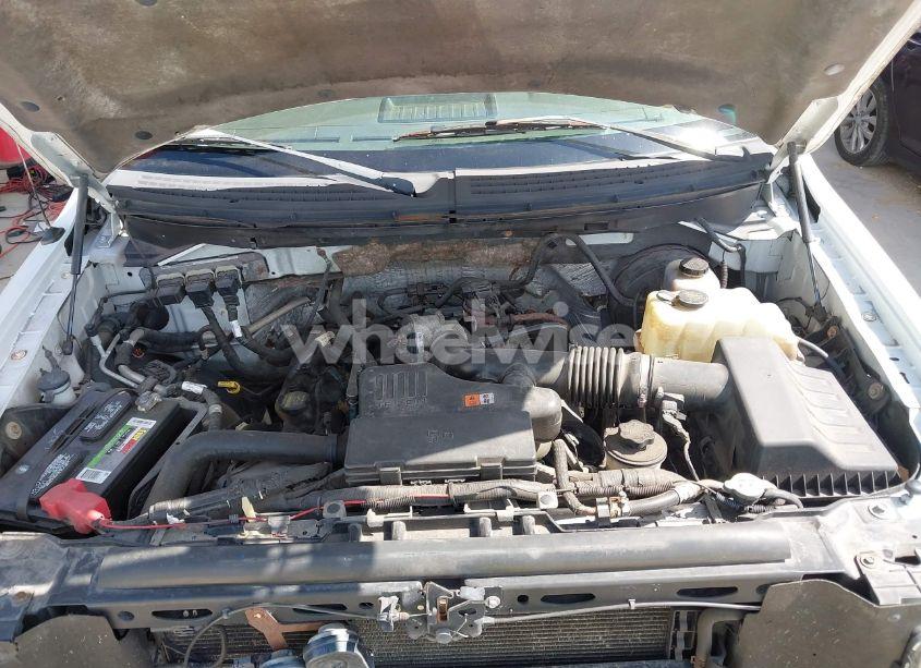 Photo 10 of 2009 Ford F-150 STX/XL/XLT (VIN 1FTRF14W89KC08249)